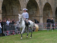 REMPARTS LONGWY 2008 300